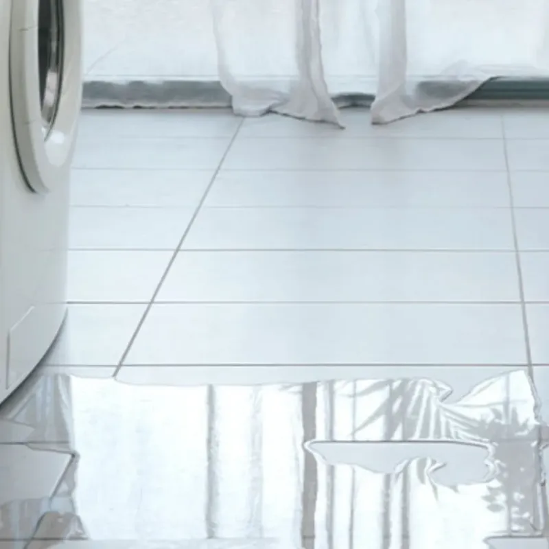 Appliance Leak Cleanup in Plano, KY