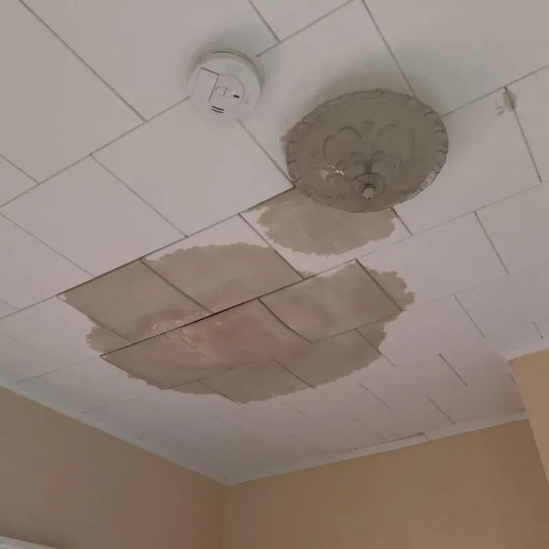 Ceiling Water Damage Repair in Plano, KY