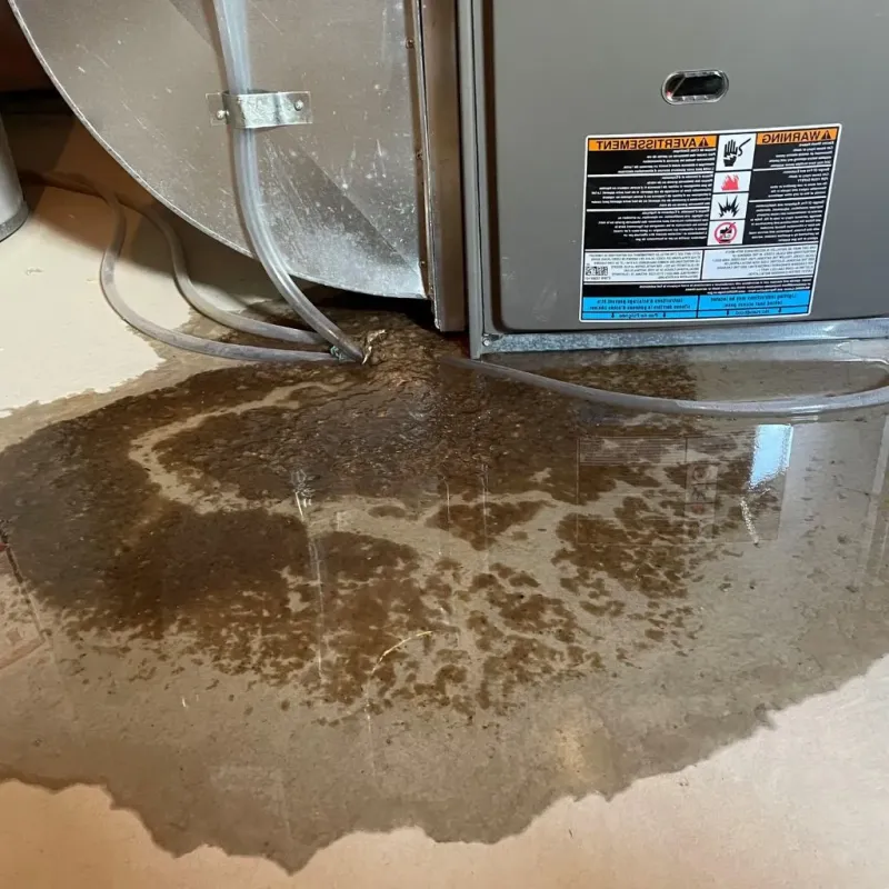 Pipe Burst and Leak Restoration in Plano, KY