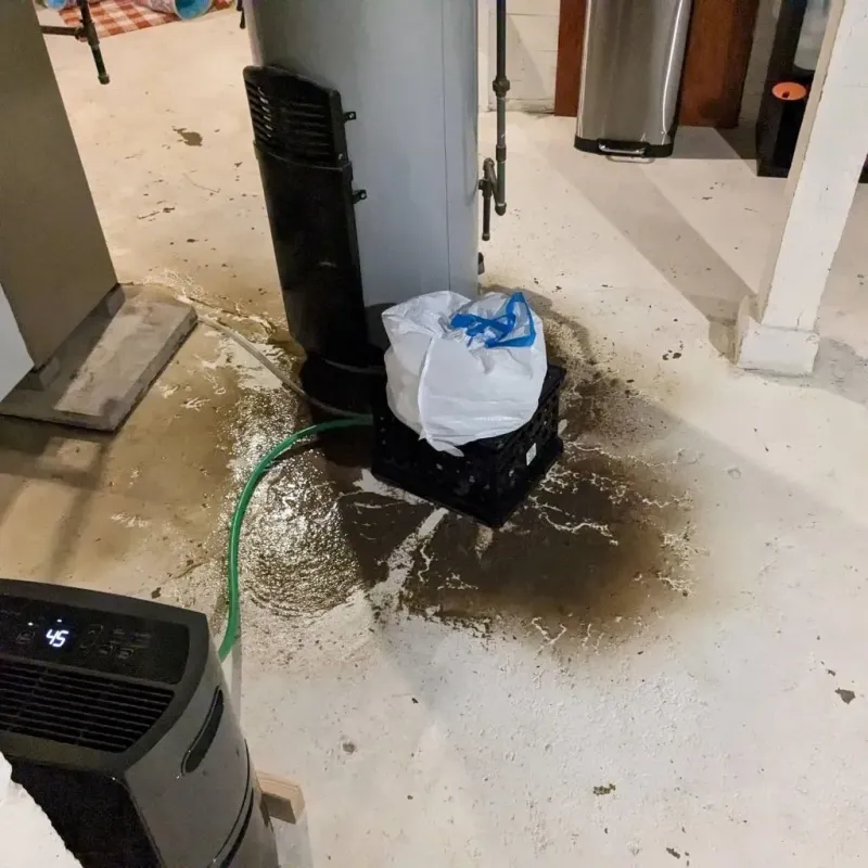 Sewage Backup Cleanup Service in Plano, KY